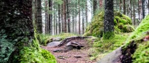 natur