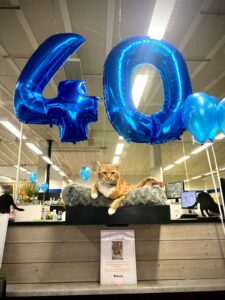 40 år ballong