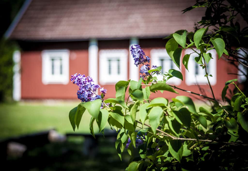 hjärtasjö 2 hjärtasjö 2